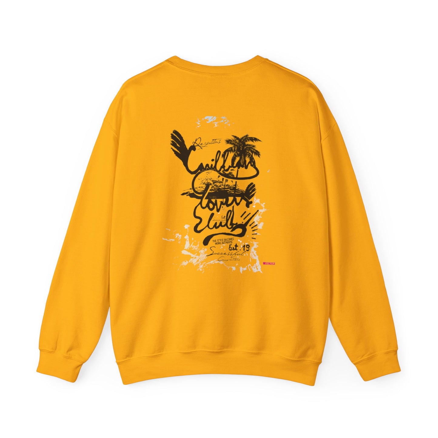 Pirate Themed Crewneck Sweatshirt, Cozy Men's Sweatshirt, Halloween Apparel, Gift for Sailors, Casual Streetwear
